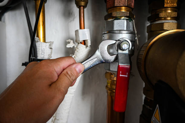 Best Clogged Drain Plumber  in Rainbow, CA